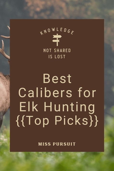 Shed Hunting, Duck Hunting Dogs, Male Deer, Elk Hunting Gear, Deer Hunting Tips, Duck Hunting Gear, Deer Hunting Gear, Shed Antlers, Hunting Tips