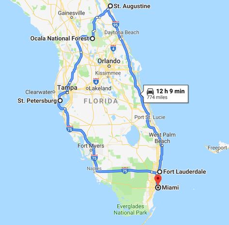 10-day Florida road trip itinerary Rv Florida Road Trips, Florida National Parks Itinerary, Florida Road Trip Itinerary, A1a Road Trip Florida, Colorado Road Trip Map, Florida Road Trip Ideas, Camping Florida, Florida Itinerary, Florida Road Trip