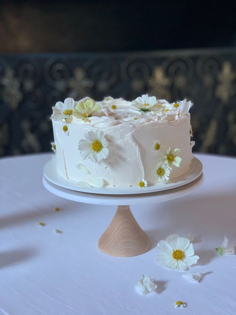 From simple and elegant to bold and beautiful, our cakes are perfect for your modern wedding! 🎂✨ Small Textured Wedding Cake, 10 Inch Round Wedding Cake, Dads 60th Birthday Cake, Modern Simple Wedding Cake, Simple Summer Wedding Cake, Simple Wedding Cake Flowers, Wedding Cakes Simple Elegant Romantic, Simple Spring Wedding Cake, Small Wedding Cakes Simple