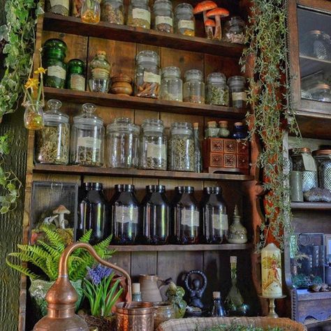 Practical Magic House, Witchy Kitchen, Apothecary Decor, Witch Room, Witch Cottage, Herbal Apothecary, Practical Magic, Kitchen Witch, Dream House Decor