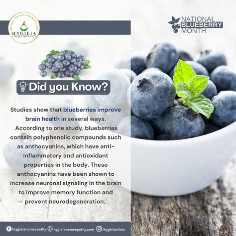 𝐃𝐢𝐝 𝐲𝐨𝐮 𝐤𝐧𝐨𝐰? Studies show that blueberries improve brain health in several ways. According to one study, blueberries contain polyphenolic compounds such as anthocyanins, which have anti-inflammatory and antioxidant properties in the body. These anthocyanins have been shown to increase neuronal signaling in the brain to improve memory function and prevent neurodegeneration. Source: ➤https://www.ketovale.com/blueberries-health-benefits/ Wellness Clinic, Improve Memory, Homeopathy, Brain Health, Health Healthy, The Brain, Blueberries, The Body, Health Benefits