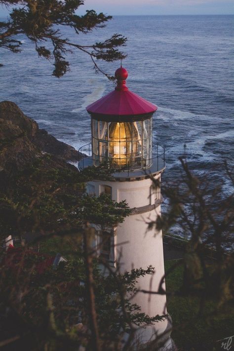 Heceta Head Lighthouse, Oregon Heceta Head Lighthouse, To The Lighthouse, There And Back Again, Navigation Lights, The Lighthouse, The Pacific Northwest, Nature Landscape, Grimm, Pacific Northwest