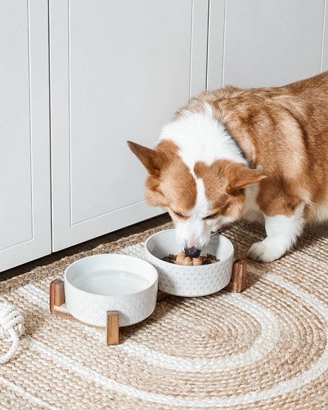 Dog Bowl Area, Dog Dishes, Bowls Ceramic, Ceramic Dog Bowl, Dog Food Bowls, Ceramic Dog, Dog Essentials, Food Mat, Stoneware Ceramics