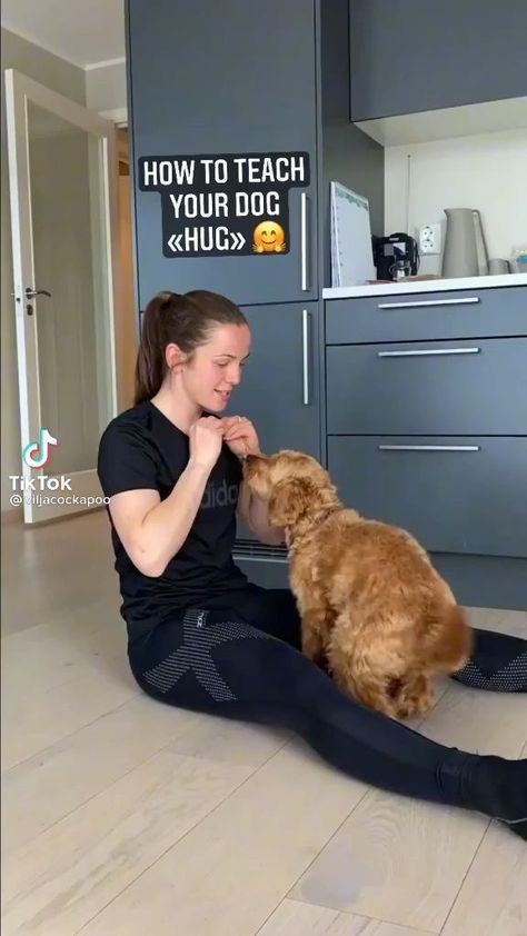 Cool Dog Tricks, Dog Hug, Teach Dog Tricks, Dogs Hugging, Puppy Time, Dog Hacks, Pet Training, Dog Training Tips, Diy Dog Stuff