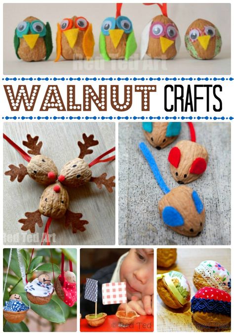 We love traditional Walnut DIYs. Walnuts are quirky, wonderfully textured and there are so many thing you can make! Crafting with Walnuts is fun and always reminds me of Autumn and Christmas. Check out these easy walnut crafts for kids! Walnut Shell Crafts, Nature Crafts Kids, Red Ted Art, Fox Ornaments, Shell Craft, Walnut Shell, Pine Cone Crafts, Things To Make, Craft Projects For Kids