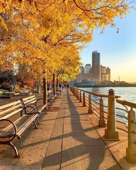 New York In The Fall, Boston Aesthetic, Fall In Nyc, Fantasy Story Ideas, Fall City, Nyc Fall, Autumn Scenery, City Landscape, Autumn Cozy