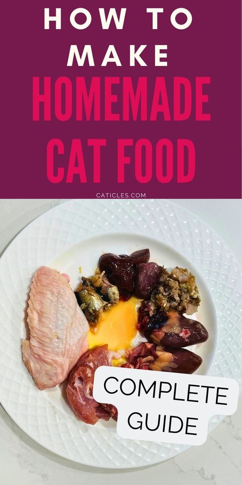 How to make cat food + healthy DIY recipes - Jess Caticles Homemade Raw Cat Food, Raw Cat Food Diet, Homemade Cat Treats Recipes, Cat Food Recipe, Cat Food Recipes, Raw Cat Food, Diy Cat Food, Healthy Cat Food, Raw Cat Food Recipes