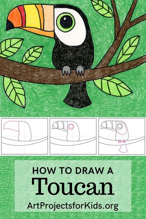 Toucan Art, Easy Art Projects, Easy Drawings For Kids, Profile View, Homeschool Art, 수채화 그림, Drawing Projects, Camping Art, Learn How To Draw