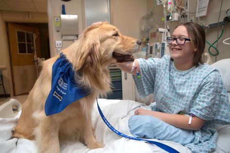 Dog Comforting Human, Dog Hospital, Dog With Stethoscope, Dog Therapy, Banfield Pet Hospital, Therapy Dog Training, Child Life Specialist, Dog Sports, Children Hospital