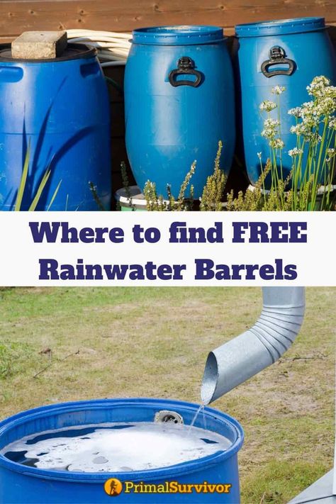 Rain Collector Diy, Rainwater Storage Ideas, Rain Water Collection System For Home, Diy Water Collection, Diy Rain Water Collection System, Rain Water Storage, Rain Barrels Diy How To Make, Diy Rain Barrel System, Rain Catchment System Diy