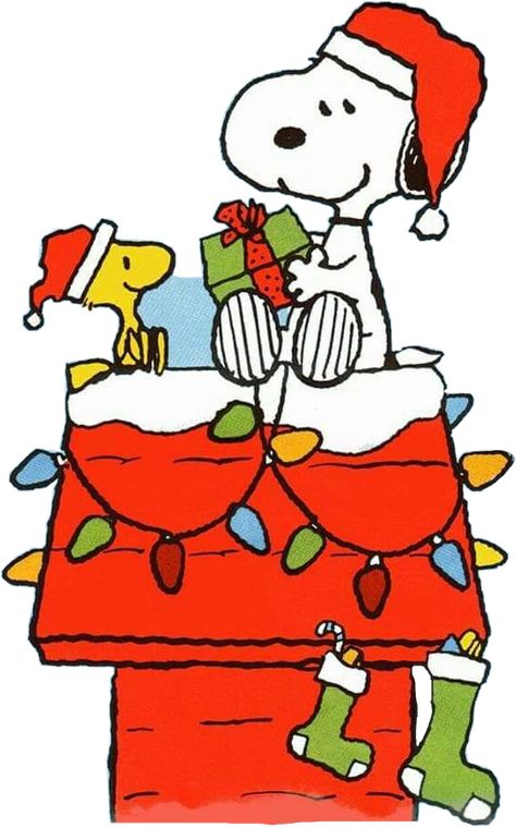 A Charlie Brown Christmas, Christmas Snoopy, Peanuts Snoopy Woodstock, Brown Christmas, Snoopy Pictures, Peanuts Christmas, Snoopy Love, Merry Christmas Gifts, Charlie Brown Christmas