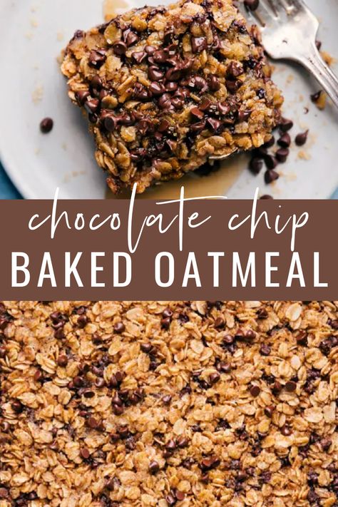 Chocolate Chip Oatmeal Bars Breakfast, Baked Oatmeal Breakfast Cookies, Gluten Free Oatmeal Bars Breakfast, Easy Healthy Baked Oatmeal, Chocolate Chip Cookie Baked Oats, Choc Chip Baked Oats, Low Fodmap Breakfast Bars, Peanut Butter Chocolate Chip Baked Oatmeal, Oatmeal Baked Breakfast