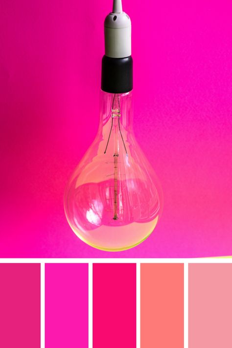 Bold Pink Lightbulb: A minimalistic shot of a clear lightbulb hanging against a striking hot pink background, paired with a contrasting neon green, showcasing the intensity of the bright pink color palette. Neon Pink Color Combination, Pink Lightbulb, Color Scheme Generator, Hot Pink Background, Pink Color Combination, Pink Color Palette, Pink Palette, Color Palette Pink, Different Shades Of Pink