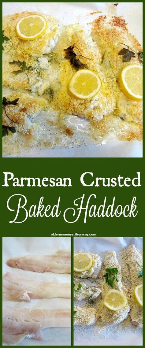 How to Make Parmesan Crusted Baked Haddock Baked Haddock Recipes, Baked Haddock, Haddock Recipes, Seafood Bake, Bake Recipes, Grilled Eggplant, Low Sodium Recipes, Parmesan Crusted, Baked Fish