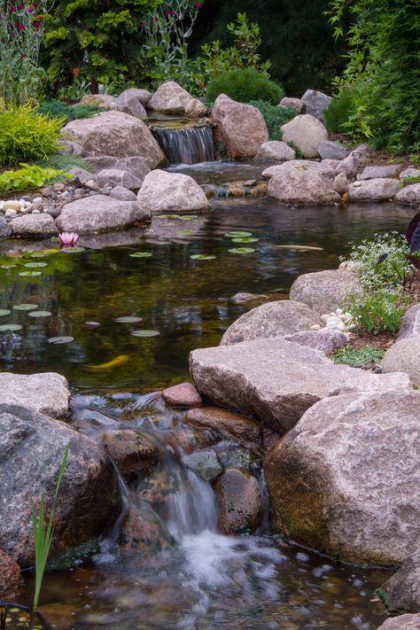 Preformed Pond, Kolam Koi, Bog Plants, Garden Pond Design, Diy Pond, Pond Ideas, Pond Waterfall, Pond Landscaping, Backyard Water Feature