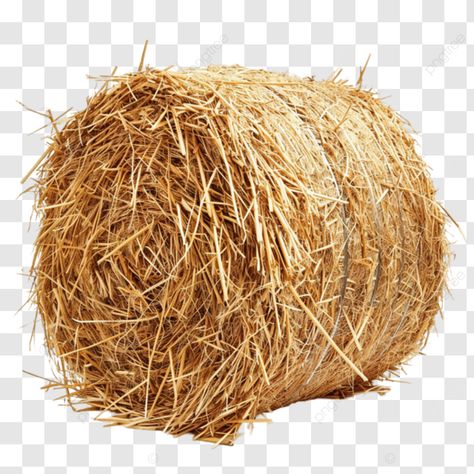 from field to farm the journey of a hay bale hay bale farming agriculture png Hay Bales, Bale Of Hay, Bales Of Hay, Agriculture Farming, Sketches Simple, Transparent Image, Art Drawings Sketches Simple, Png Image, Burnt Orange