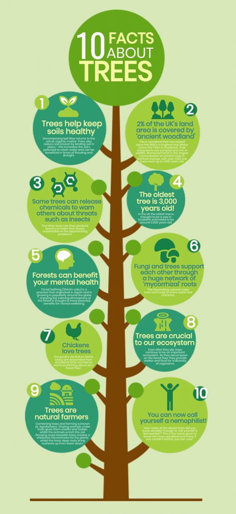 Agricultural Infographic, Urban Ecology, Tree Support, How To Become Vegan, Space Phone Wallpaper, Awareness Poster, Effective Study Tips, Climate Justice, Sustainable Technology