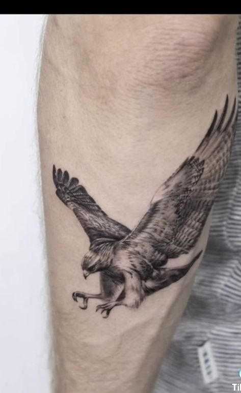 Recycle Tattoo, Falcon Tattoo, Hawk Tattoo, Petit Tattoo, Tato Lengan, Muster Tattoos, Eagle Tattoos, Geniale Tattoos, Eagle Tattoo