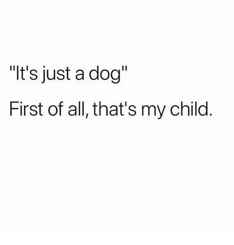 It’s Just A Dog Quote, Love For Dogs Quotes, Child Meme, Dog Mom Quotes, Dog Quotes Love, Me Me, Animal Quotes, Mom Quotes, Dog Quotes