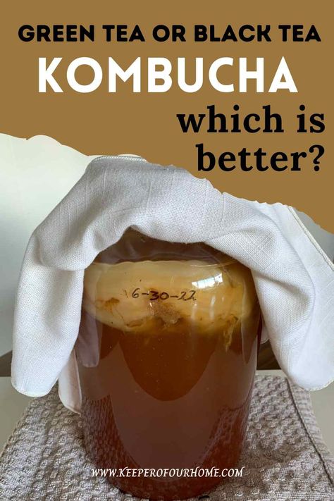 green tea vs black tea kombucha pinterest graphic Green Tea Kombucha, Kombucha Starter, Kombucha Benefits, Kombucha Flavors, Kombucha Scoby, How To Brew Kombucha, Homemade Kombucha, Kombucha Recipe, Fermented Tea