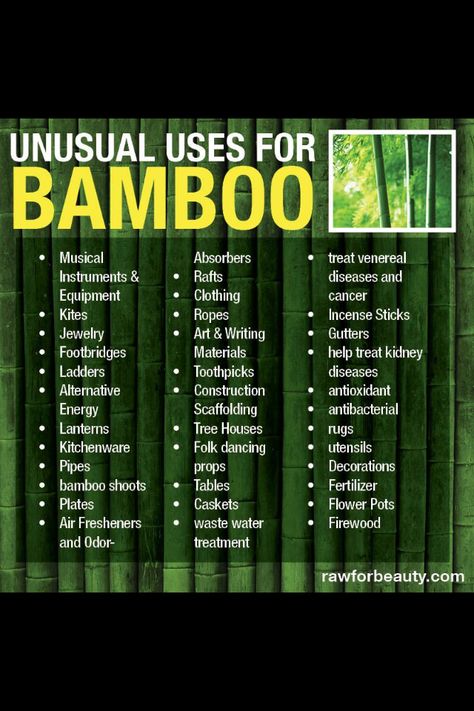 Unusual Uses For Bamboo. In homage to our eco-friendly bamboo yoga items, Pure Yogi is celebrating all things bamboo!  Visit www.PureYogi.com for all of your yoga needs! #bamboo #ecofriendly #earthfriendly #eco #ecofashion #yoga #yogawear #bambooyoga #bikrimyoga #bikrim #yogi #pureyogi Bamboo Survival, Uses For Bamboo, Bamboo Projects, Bamboo Diy, Island Survival, Panic Rooms, Bamboo Architecture, Bamboo Plant, Bamboo Art