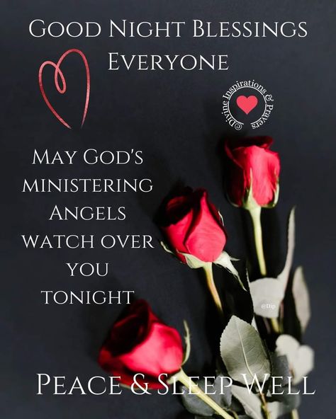 Good Night Bible Verse, Evening Blessings, Good Night Family, Cute Owl Tattoo, Sunday Morning Quotes, Beautiful Good Night Quotes, Good Morning Sweetheart Quotes, Beautiful Good Night Images, Good Night Prayer