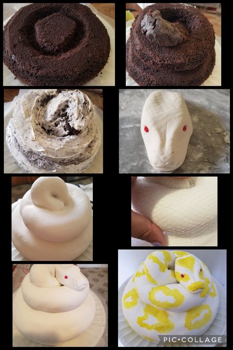 Snake Cake Design, How To Make A Snake Cake, Snake Cake Topper, Snake Themed Cake, Snake Cupcake Cake, Reptile Cake Ideas, Snake Cake Ideas, Snake Cakes For Kids, Animal Cake Designs