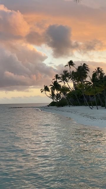 Gemma. on Instagram: "Evenings in Bora Bora <3 • • • • • • • • Travel, island holiday, travel destinations, travel activities, summer aesthetic, Bora Bora," Bora Bora Aesthetic, Bora Bora Island, Trip To Bora Bora, Island Holiday, Travel Activities, Bora Bora, Travel Life, Travel Aesthetic, Summer Aesthetic