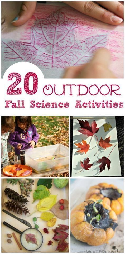 Science Activities For Elementary, Fall Science Activities, Activities For Elementary Students, Stem Activities Preschool, Fall Science, Science Stem, Halloween Science, Science Activity, Autumn Activities For Kids