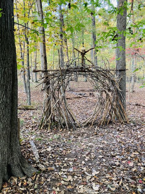 Haunted trail ideas, portal made of sticks and branches. Haunted Trail Ideas, Forest Sculpture, Creepy Woods, Beech Forest, Trail Ideas, Haunted Trail, Haunted Maze, Haunted Woods, Haunted Hayride