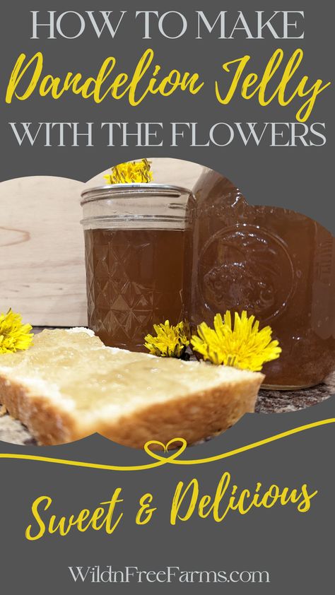 dandelion jelly Dandilines Flower, Dandelion Jelly Recipe, Flower Recipe, Beautiful Yellow Flowers, Dandelion Tea, Dandelion Jelly, Jelly Recipe, Jelly Recipes, Tea Tasting