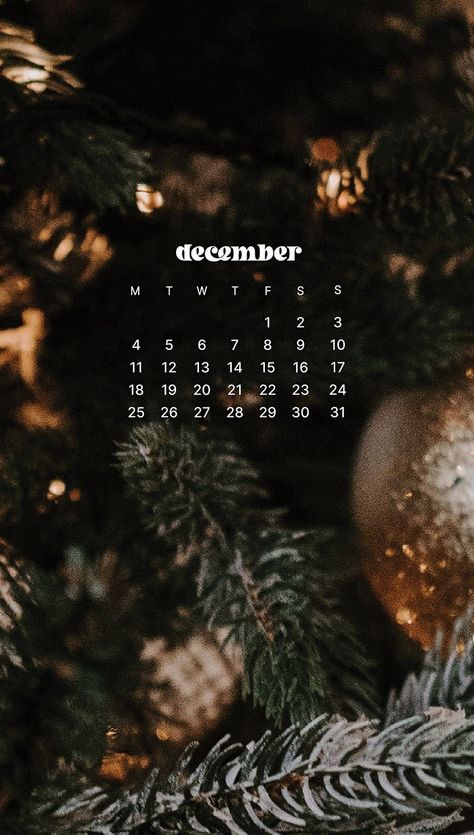 December Calendar 2022 Aesthetic, Christmas Calendar Wallpaper, December 2022 Wallpaper, December Lockscreen, December 2022 Calendar Wallpaper, December Phone Wallpaper, December Wallpaper Aesthetic, Christmas Backrounds, December Background