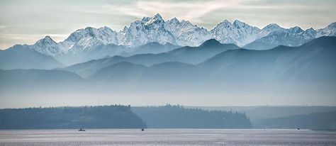 Looking south to the Olympic mountains & the Olympic peninsula from Useless Bay.  photo by Tom Hanify, Sept. 2014 Olympic Mountains Tattoo, Mtn Tattoo, Pnw Art, Olympic Mountains, Bay Photo, Mountain Painting, Whidbey Island, Mountain Wallpaper, Olympic Peninsula