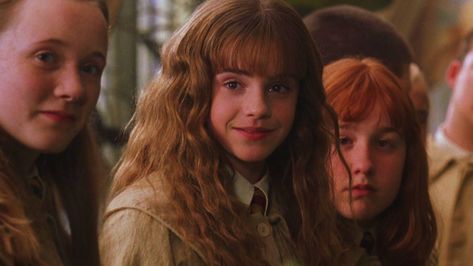 Hermione Granger | Harry Potter | Chamber of Secrets Harry Potter Screencaps, Harry Potter Chamber Of Secrets, Hermione Granger Harry Potter, The Chamber Of Secrets, Harry Potter And The Chamber Of Secrets, Chamber Of Secrets, Hermione Granger, Hermione, The Secret