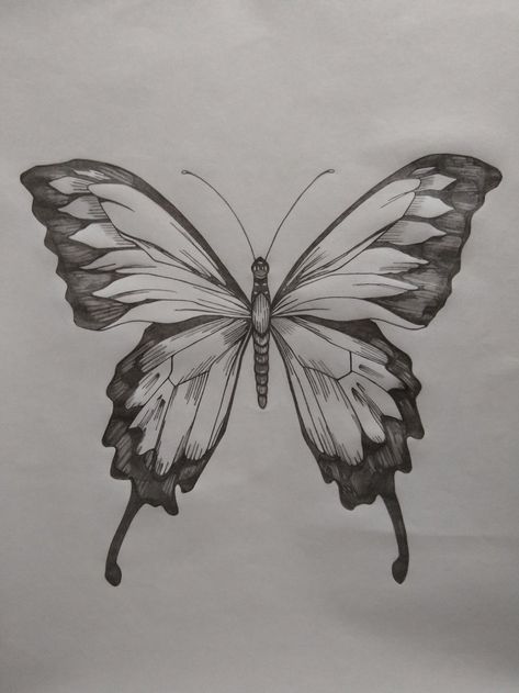 Buterfluffy Drawings, Aesthetic Butterfly Sketch, Butterfly Sketch Pencil, Butterfly Drawing Pencil, Butterfly Drawing Sketches, Butterfly Easy Drawing, Drawing Ideas Butterfly, Butterfly Pencil Drawing, Drawing Of Butterfly