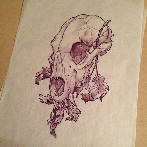 Animal Skull Drawing, Lower Leg Tattoos, Bear Skull, Skull Sketch, Skeleton Drawings, Bone Tattoos, Animal Skull, Tattoo Traditional, Skulls Drawing