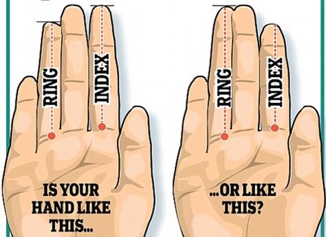 Researchers in South Korea say finger ratios affect the size of testicles. Men with larger testes were found to have longer ring than index fingers. The study was based on 172 Korean men aged 20 to 69 years old. In the image above, the hand on the left would have smaller testicles than the one on the right Finger Length Meaning, Male Fertility, Long Ring, Index Finger, Health Risks, Hand Shapes, Guy Pictures, Mens Health, Korean Men