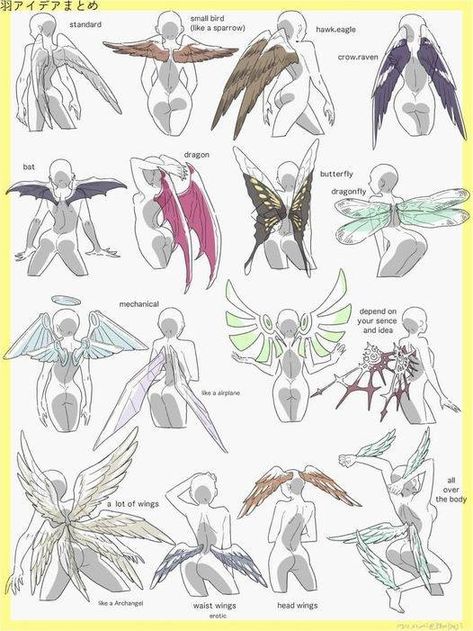 Wings Drawing, Drawing Faces, 캐릭터 드로잉, Concept Art Drawing, Poses References, Digital Painting Tutorials, Dessin Adorable, Art Poses, Drawing Tutorials