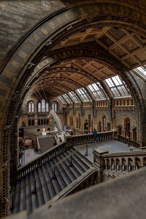 Natural History Museum London, Old Quebec, Canada Images, Castle Tower, London Architecture, Cathedral Church, Natural History Museum, Architectural Inspiration, History Museum