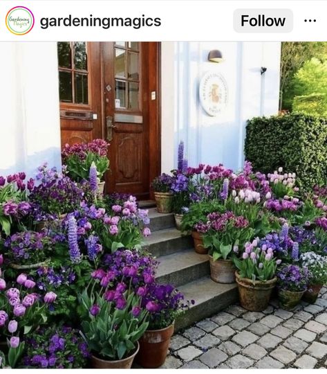 Tulips Garden Design, Container Garden Design, Container Gardening Flowers, Green Things, Garden Wallpaper, Tulips Garden, Garden Containers, Garden Layout, Garden Cottage