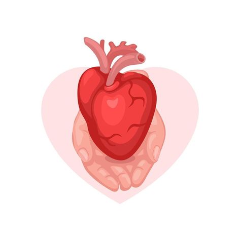 World Organ Donation Day. heart transplantation symbol cartoon illustration vector Organ Transplant Illustration, World Organ Donation Day, Heart Transplantation, World Heart Day, Organ Donor, Organ Transplant, Ad Illustration, Organ Donation, Heart Day