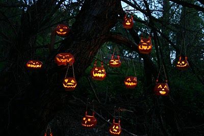 Pumpkins hanging from a tree--great effect Pumpkin Tree, Fake Pumpkins, Halloween Yard, Pumpkin Crafts, Halloween Inspiration, Halloween Home Decor, Outdoor Halloween, Halloween Outdoor Decorations, Halloween Town