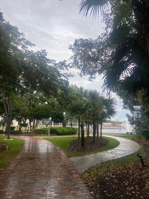 december day in miami is very rainy 🌧️ ☔️ #miami #rain #cloudy #palmtrees Rainy Day In Miami, Rain In Florida, Miami Rainy Day, Tropical Core, Bloxburg Town, People We Meet On Vacation, Todays Weather, Cloudy Weather, Dream Summer