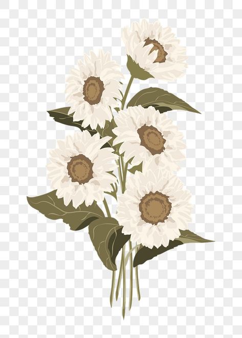 Sunflower Bouquet Aesthetic, Macbook Icon, White Flower Png, Flower Bouquet Png, Pastel Botanical, Image Of Fish, White Sunflower, Sunflower Bouquet, Plant Art Print