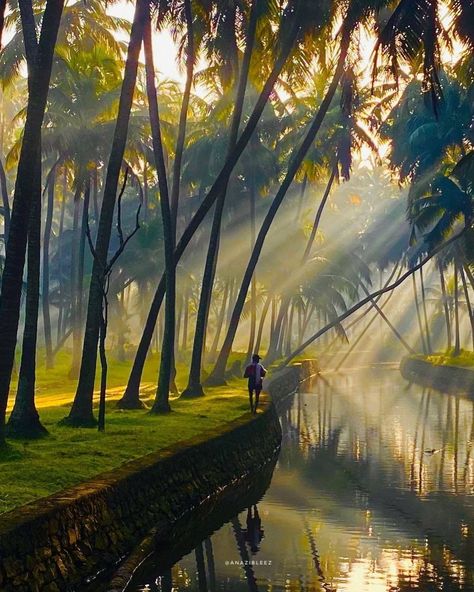 Discover India on Instagram: “Snehatheeram Beach in Thrissur district, Kerala is also known as Love Shore, and we can feel its vibe through this picture. Courtesy:…” Kerala Travel, Village Photos, Beach Place, Village Photography, Beautiful Scenery Pictures, Kerala India, Beautiful Nature Pictures, Cute Wallpaper Backgrounds, Image Hd