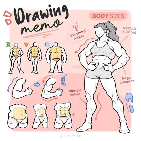 Rendering Tips, Muscular Woman, Body Type Drawing, Drawing Anatomy, Art Goals, Human Anatomy Drawing, Body Drawing Tutorial, Human Anatomy Art, Anatomy Sketches