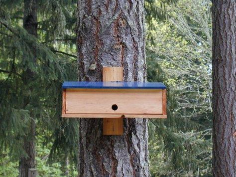 Nighttime Shelter for Winter Birds - plans to build a Bird Roost.  Take them down or close them off in the spring/summer Homemade Bird Houses, Bird House Feeder, Bird House Plans, Winter Birds, Bird House Kits, Bird Aviary, Decorative Bird Houses, Winter Plants, Diy Birds