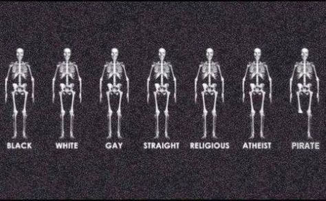 Skeletons: black white gay straight religious atheist pirate Humour, Classical Music, Canadian Stereotypes, Serious Cat, The Meta Picture, Most Asked Questions, Just Breathe, White Image, Laughing So Hard