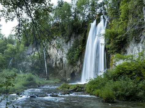 Located in the heart of Spearfish Canyon, Spearfish Falls is one of three iconic waterfalls in the northern Black Hills. Spearfish Canyon South Dakota, Spearfish South Dakota, Spearfish Canyon, South Dakota Travel, Usa Places To Visit, Bridal Veil Falls, Us Road Trip, Scenic Byway, Drive Through