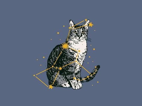 Ursa Major Constellation, Adam Johnson, Orion Constellation, Ursa Major, Constellation Tattoos, Cat Tattoo, Cat Design, T Rex, Cat Art